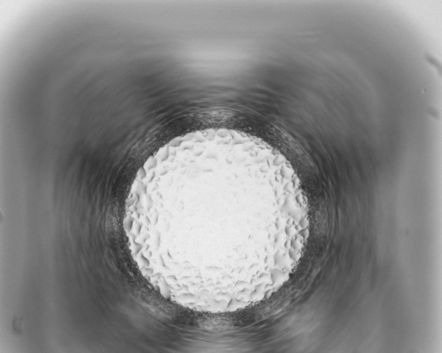 X0000093360561200711081517