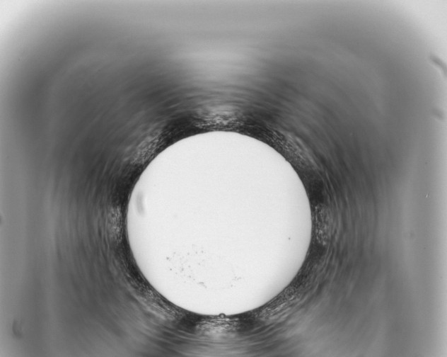 X0000093360563200711081517