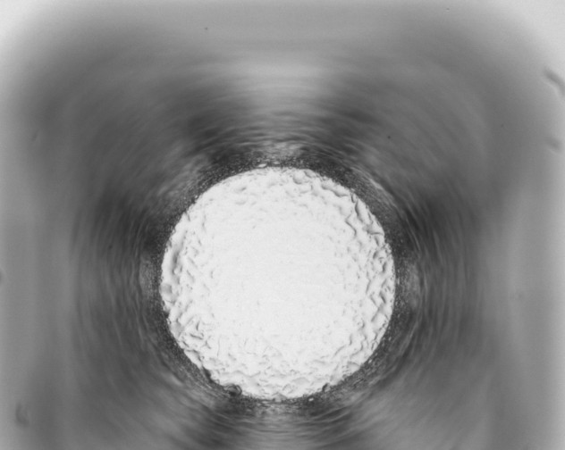 X0000093360565200711081517