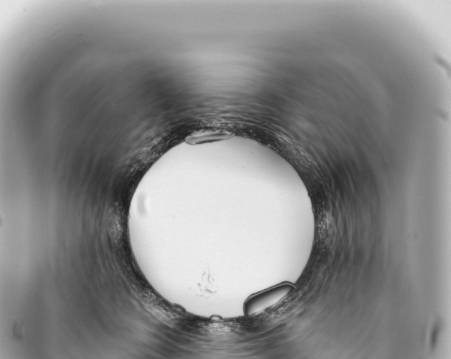 X0000093360566200711081517