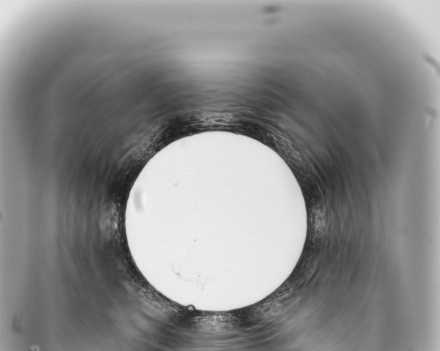 X0000093360567200711081517