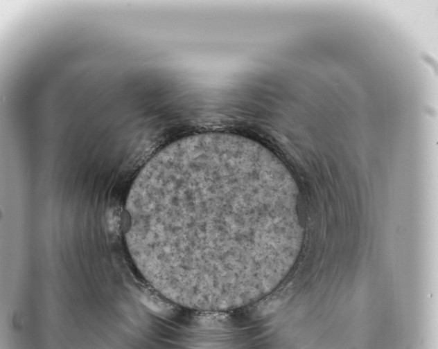 X0000093360576200711081517