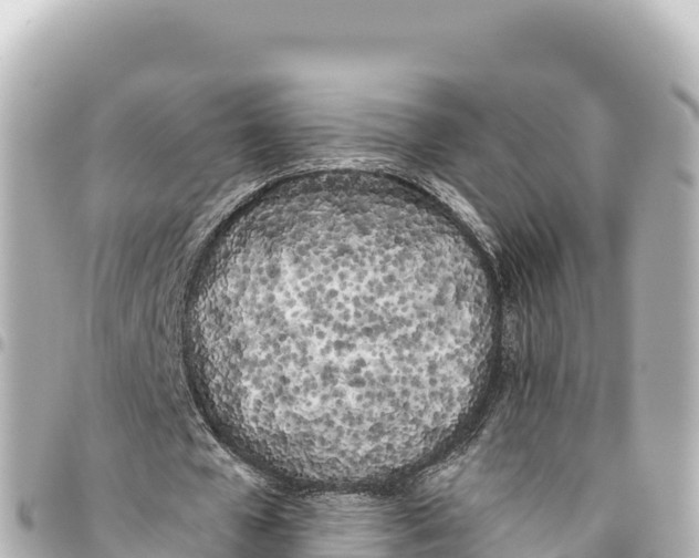 X0000093360577200711081516