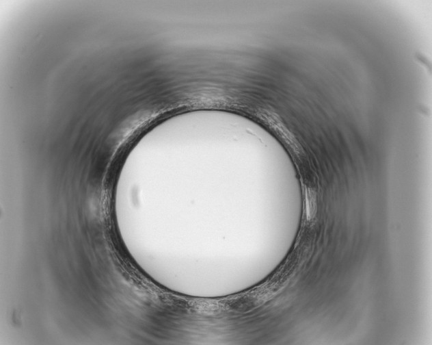 X0000093360579200711081516