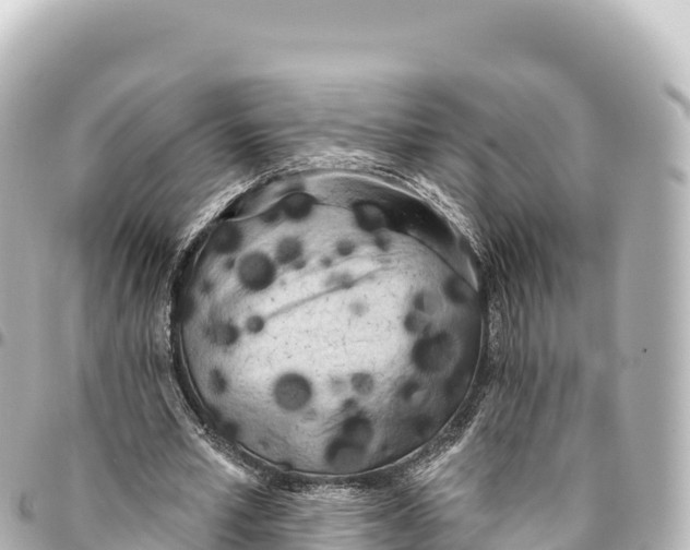 X0000093360581200711081516