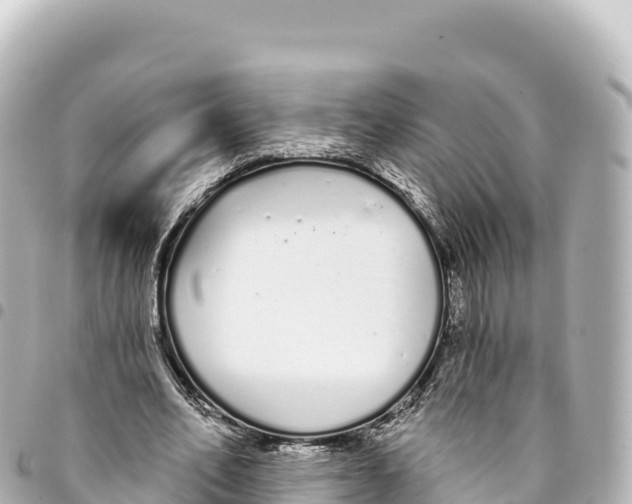 X0000093360582200711081516