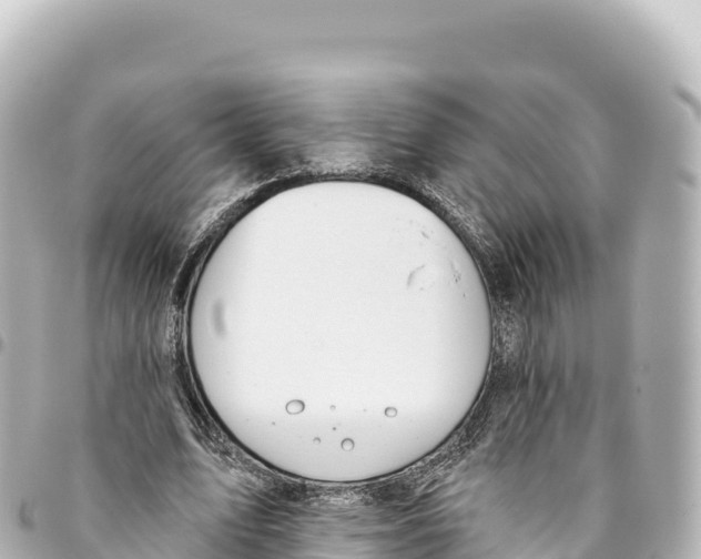 X0000093360583200711081516