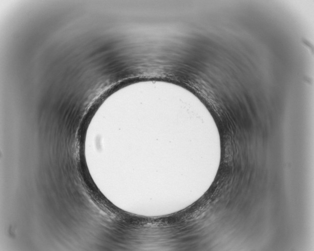 X0000093360584200711081516