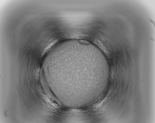 X0000093360585200711081516
