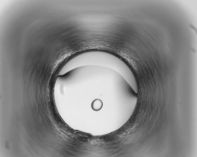 X0000093360587200711081516