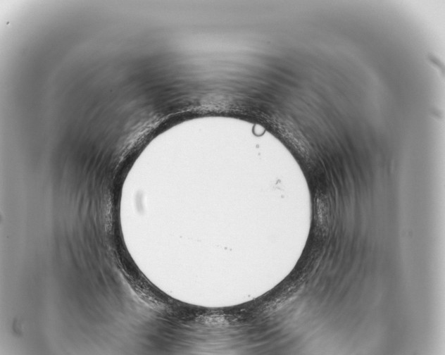 X0000093360588200711081516