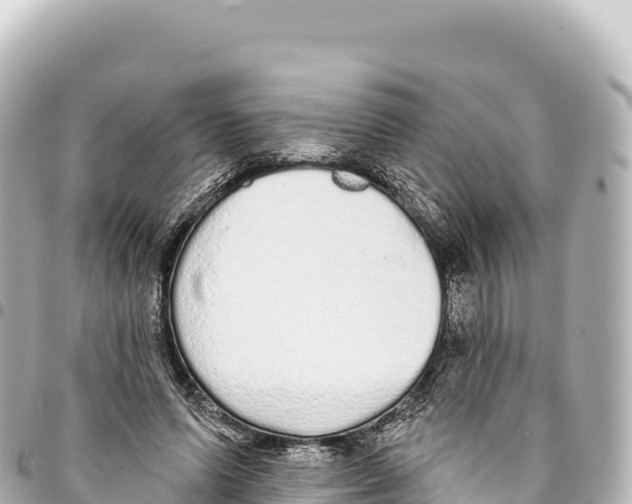 X0000093360591200711081516