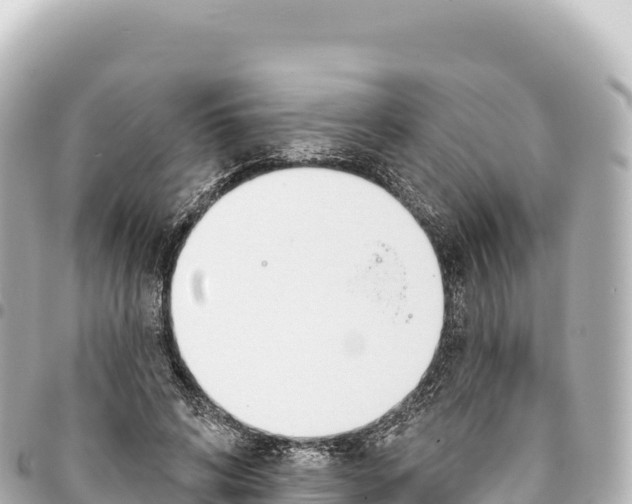 X0000093360592200711081516
