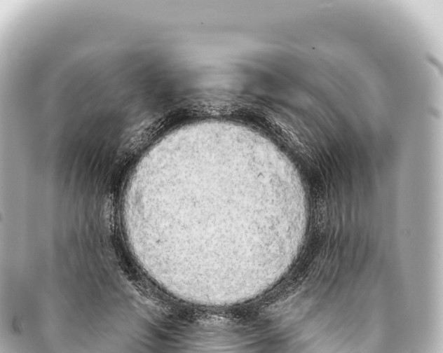 X0000093360594200711081516