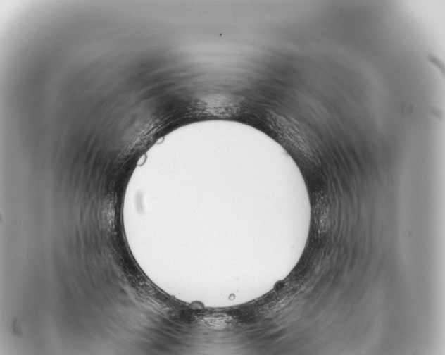 X0000093360595200711081516