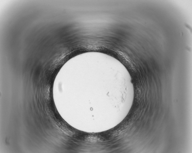 X0000093360596200711081516