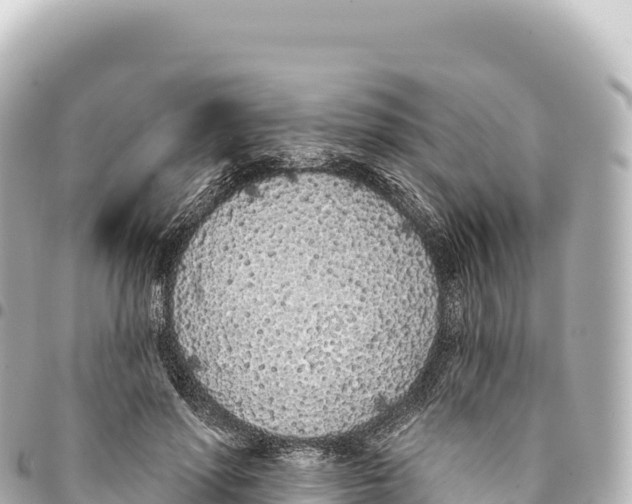 X0000093360598200711081516