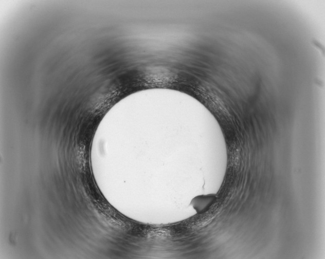 X0000093360599200711081516