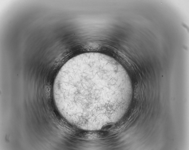 X0000093360604200711081516