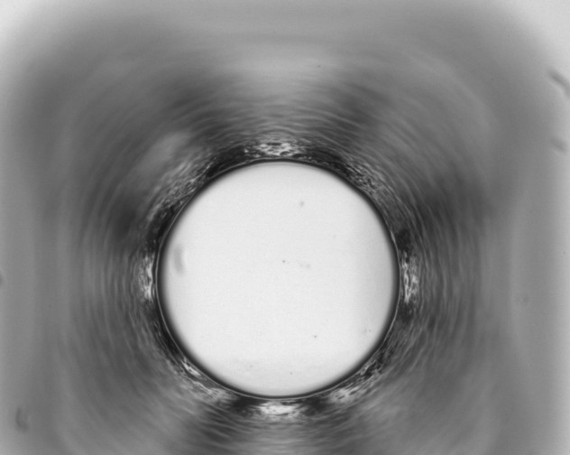 X0000093360606200711081516