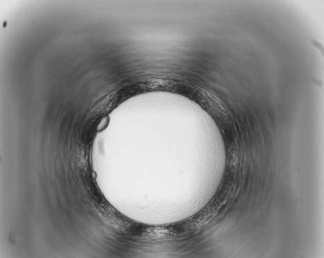 X0000093360607200711081516