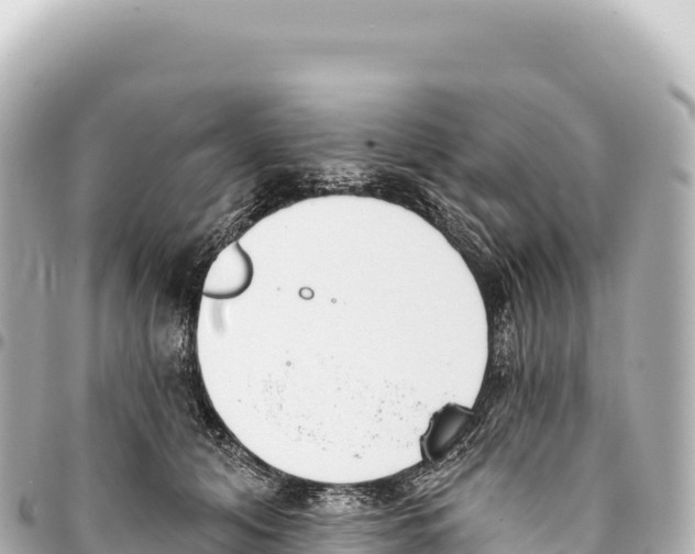 X0000093360608200711081516