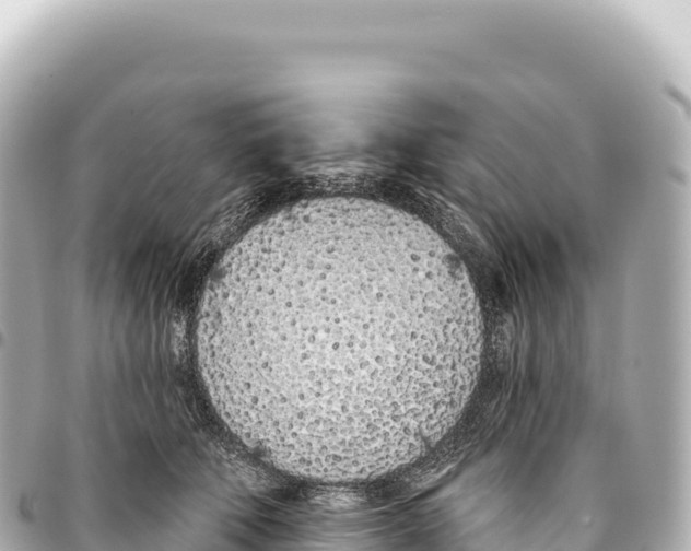 X0000093360610200711081516