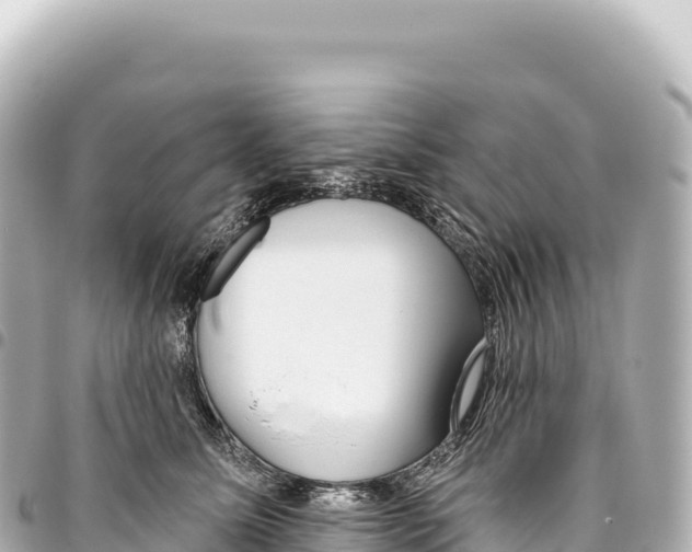 X0000093360611200711081516