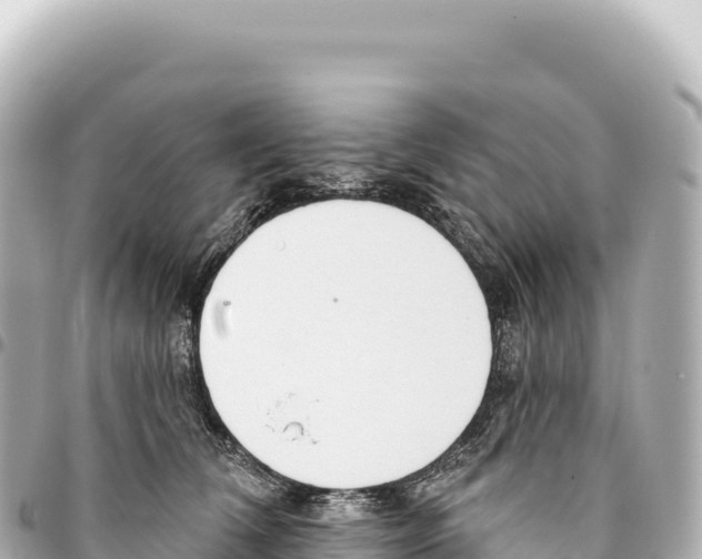 X0000093360612200711081516