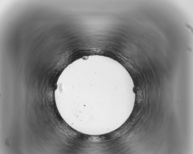 X0000093360613200711081516