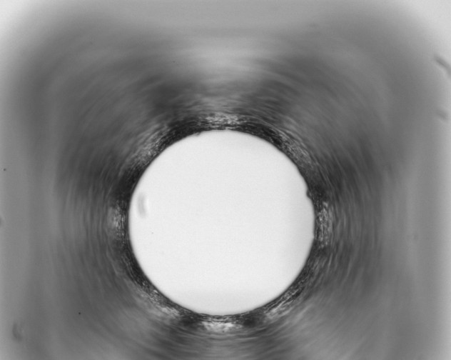 X0000093360614200711081516