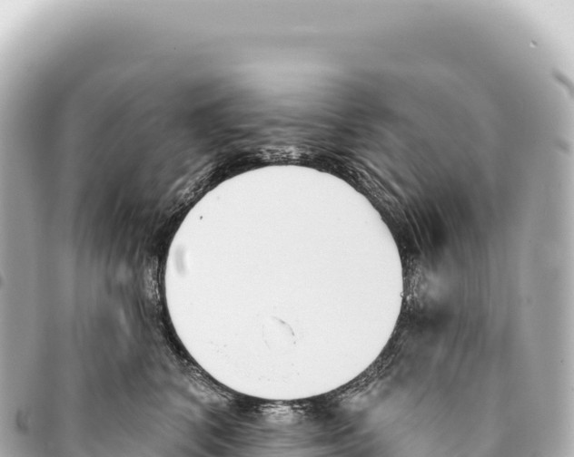 X0000093360616200711081516