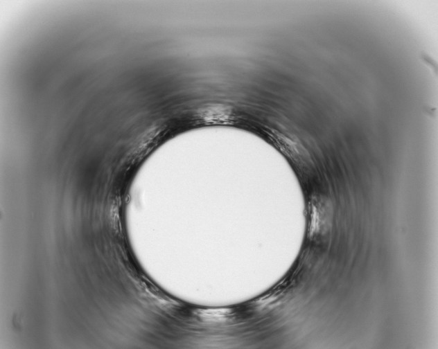 X0000093360618200711081516