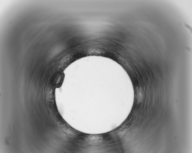 X0000093360619200711081516