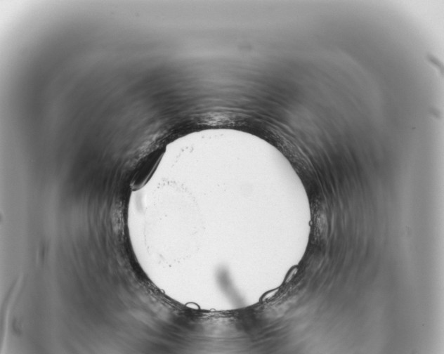 X0000093360620200711081516
