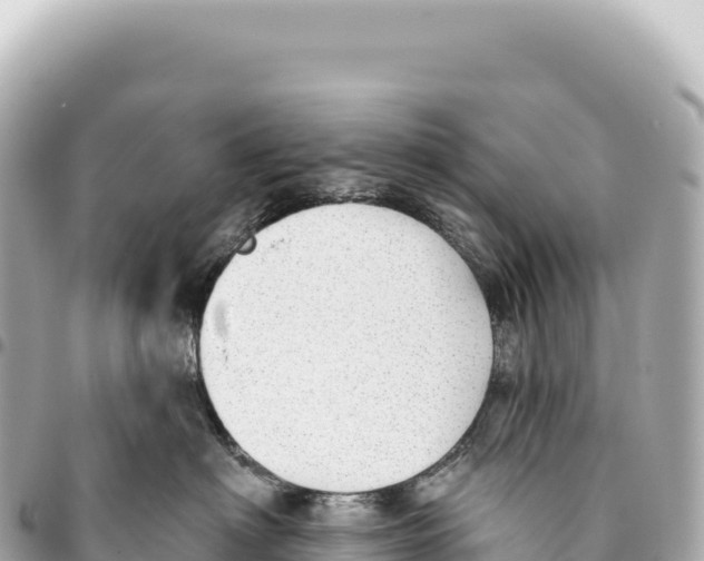 X0000093360622200711081516
