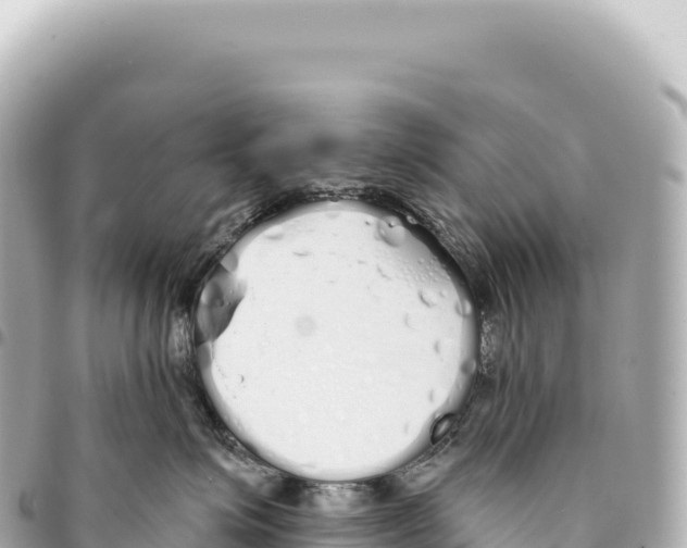 X0000093360623200711081516