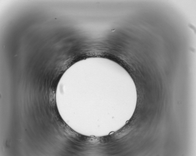 X0000093360624200711081516