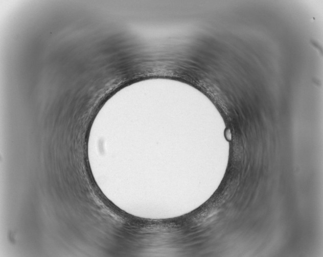 X0000093360625200711081515
