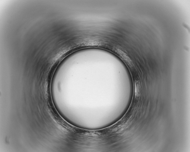 X0000093360627200711081515