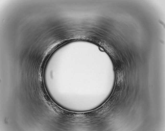 X0000093360628200711081515