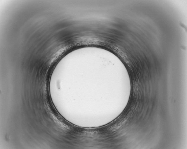 X0000093360629200711081515