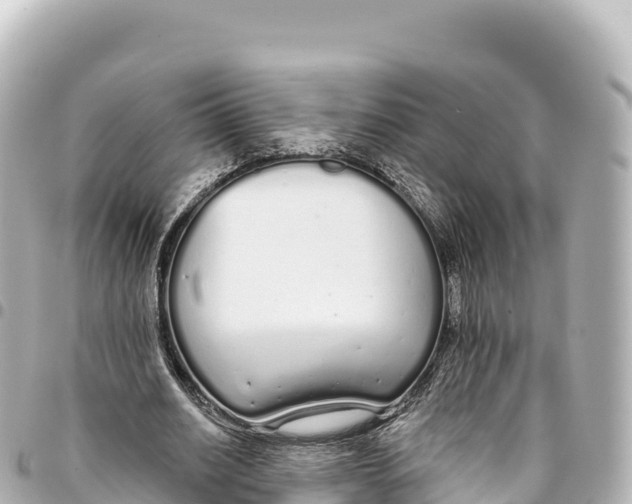 X0000093360630200711081515