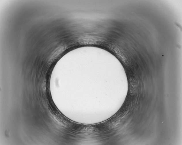 X0000093360631200711081515