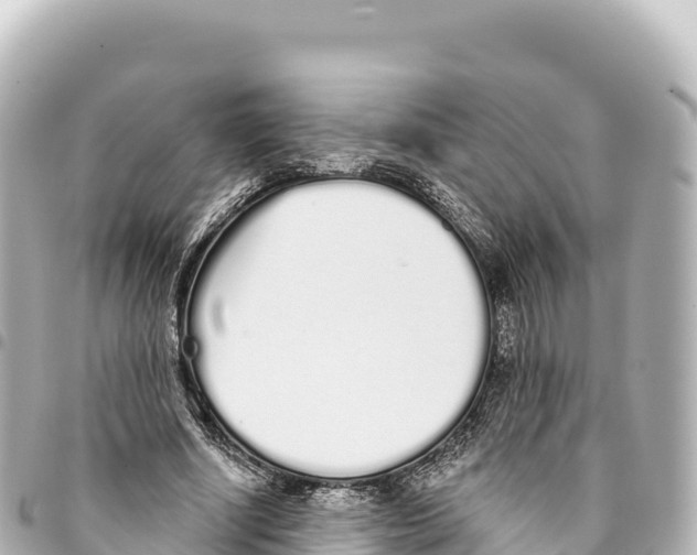 X0000093360634200711081515