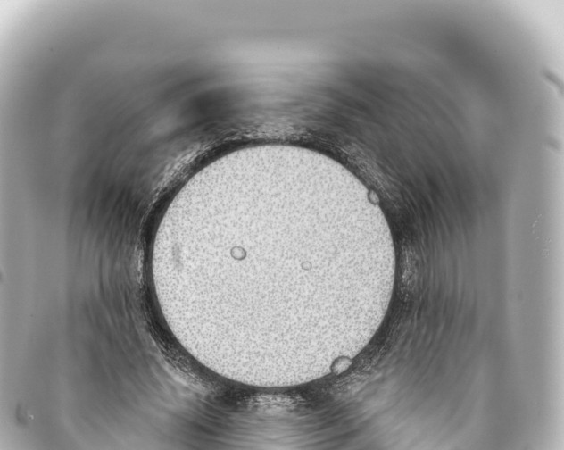 X0000093360636200711081515