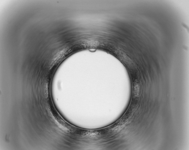 X0000093360638200711081515