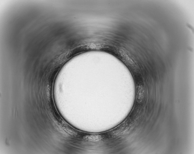 X0000093360639200711081515
