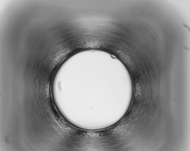 X0000093360640200711081515