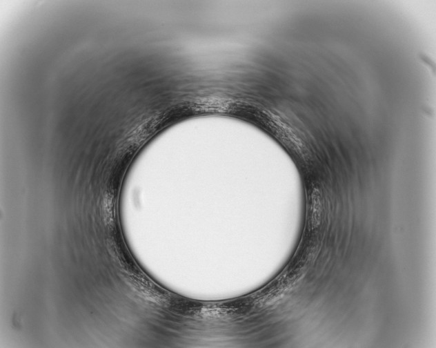 X0000093360641200711081515